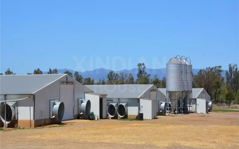 Modern Poultry Farm Chicken Farm Steel Structure Light Steel Structure Poultry House