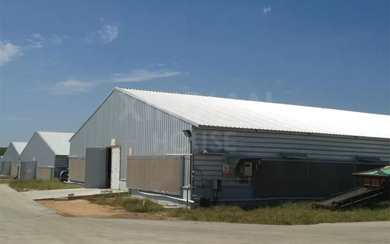 Modern Poultry Farm Chicken Farm Steel Structure Light Steel Structure Poultry House