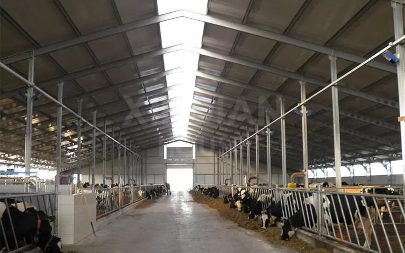 Hot Sale Low Cost Prefabricated Steel Structure cowshed Farm Building Prefab