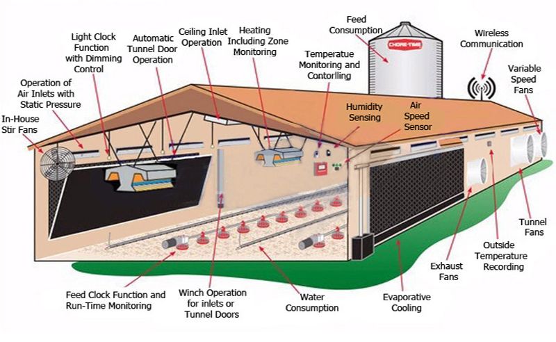 Modern Poultry Farm Chicken Farm Steel Structure Light Steel Structure Poultry House